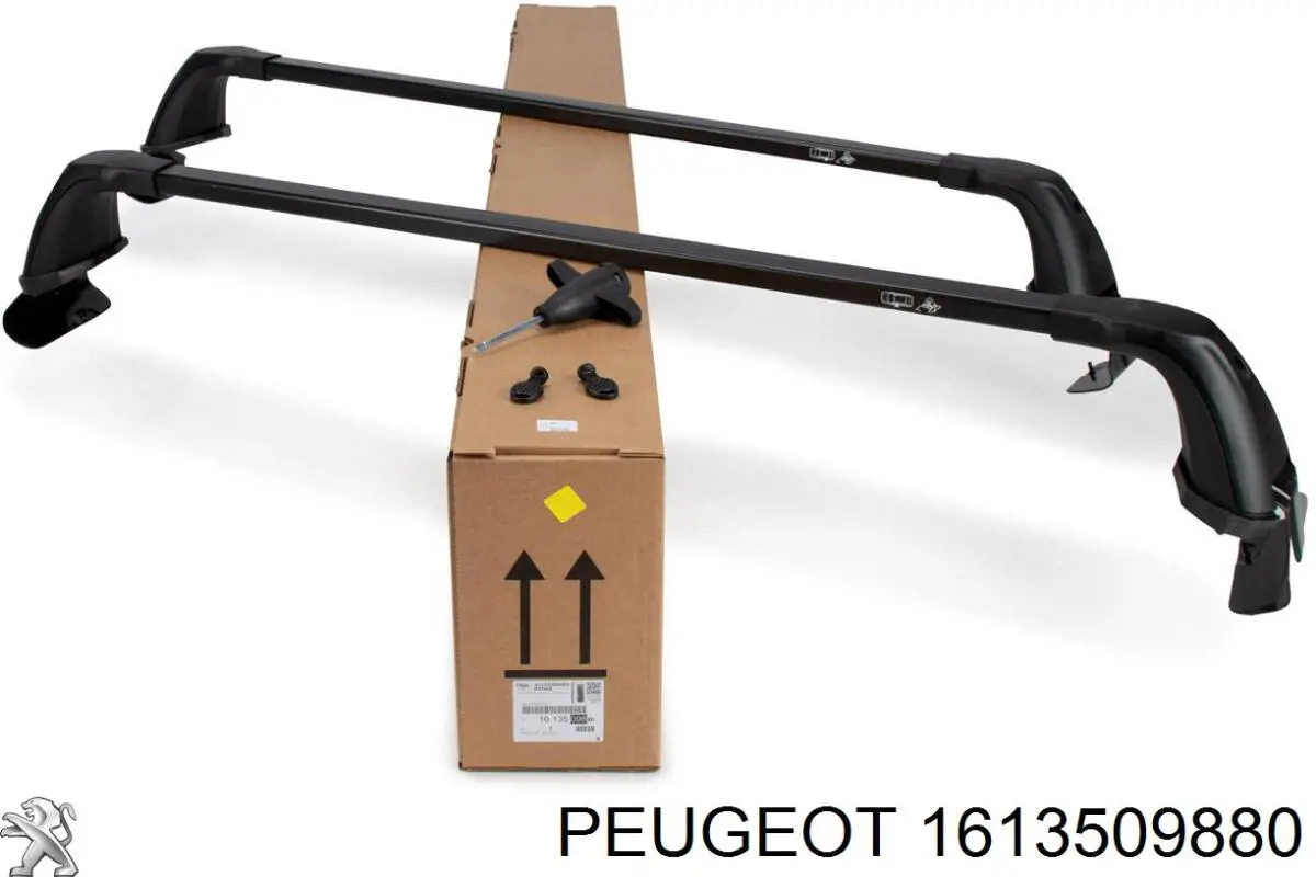 1613509880 Peugeot/Citroen 