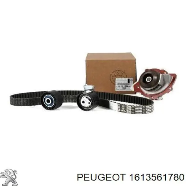 1613561780 Peugeot/Citroen correia do mecanismo de distribuição de gás, kit