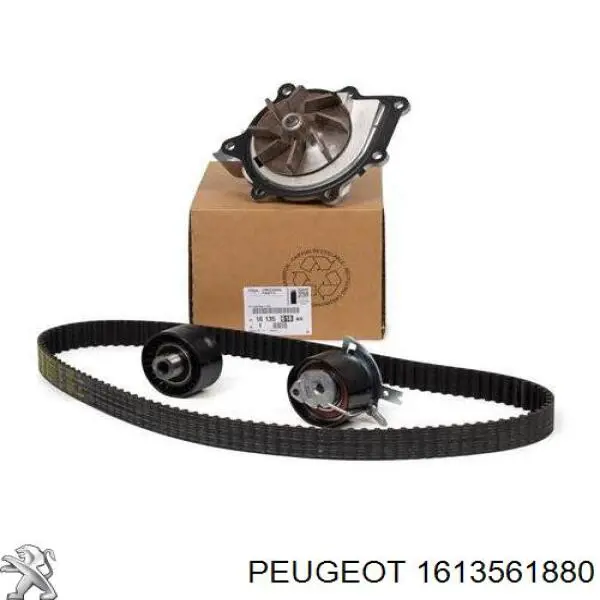 Kit correa de distribución 1613561880 Peugeot/Citroen