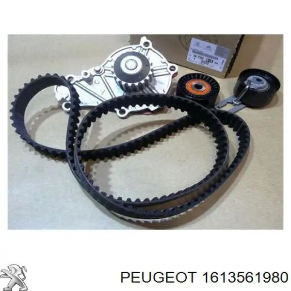 Kit correa de distribución 1613561980 Peugeot/Citroen