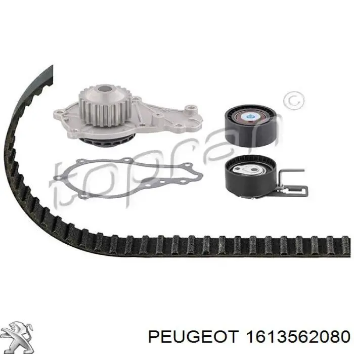 1613562080 Peugeot/Citroen Комплект ремня ГРМ
