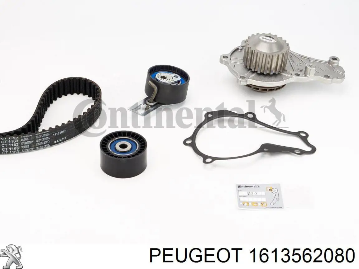 1613562080 Peugeot/Citroen correia do mecanismo de distribuição de gás, kit