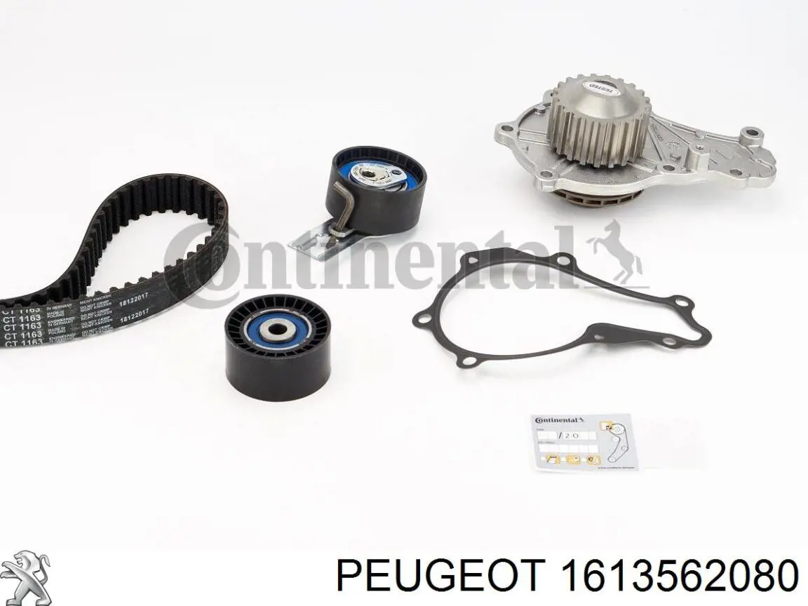 Купить 1613562080 Peugeot/Citroen Комплект ГРМ