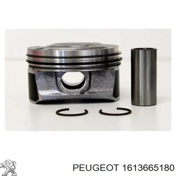 1613665180 Peugeot/Citroen pistão com passador sem anéis, std