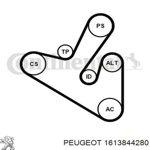1613844280 Peugeot/Citroen Ремень приводной, комплект