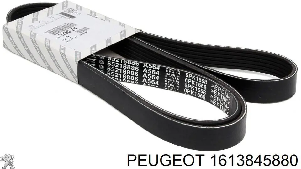 Ремень агрегатов приводной, комплект Ruville 570058 цена, от 107.99 USD