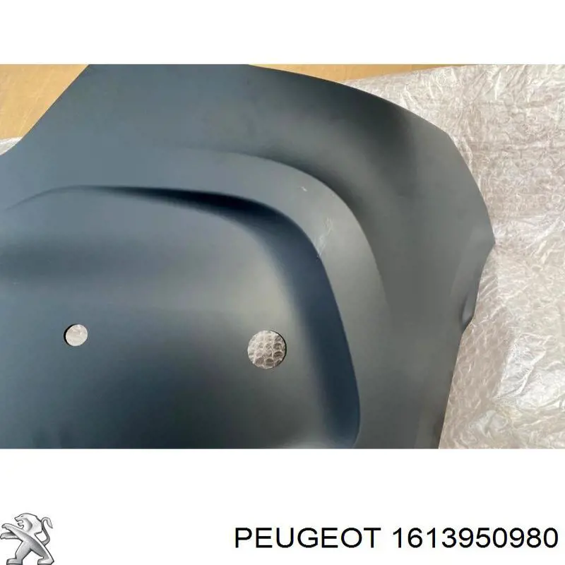 9834262380 Peugeot/Citroen Задний бампер