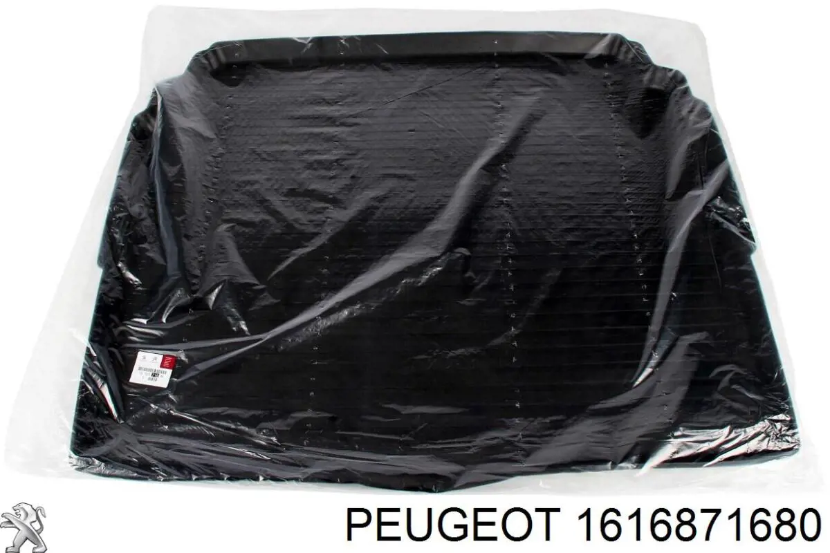  1616871680 Peugeot/Citroen