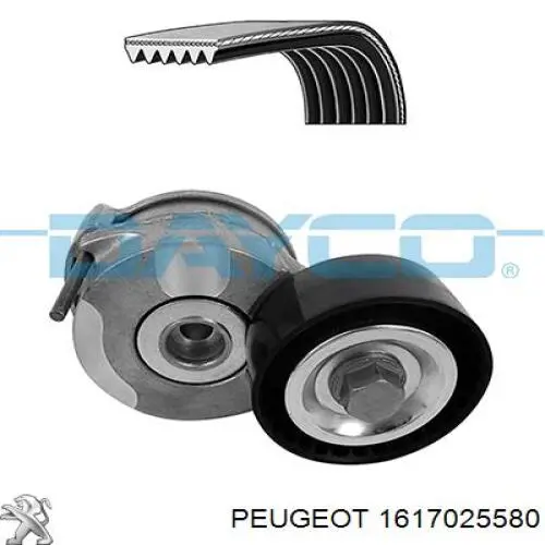 Ремень агрегатов приводной, комплект Peugeot/Citroen 1617025580