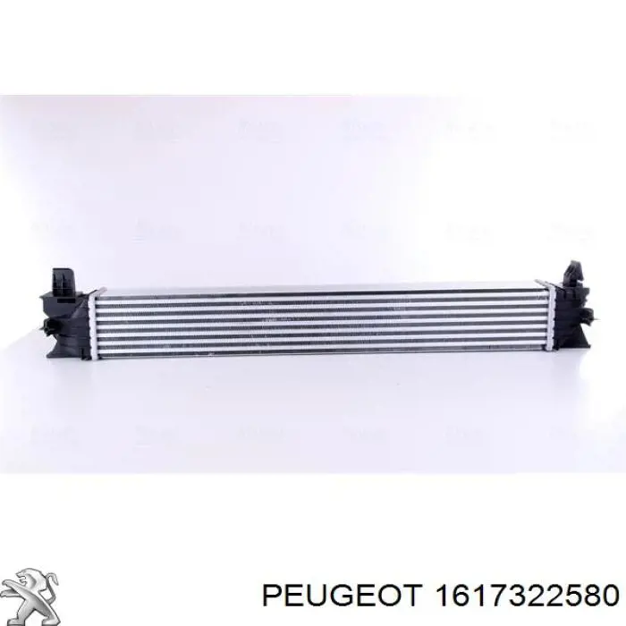 1617322580 Peugeot/Citroen 