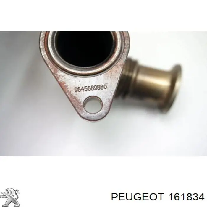  161834 Peugeot/Citroen