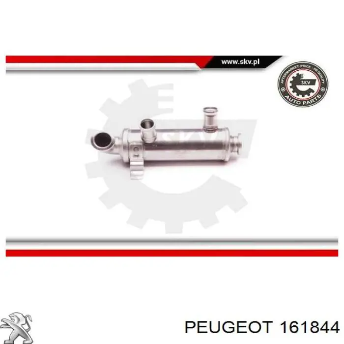 Купить 161844 Peugeot/Citroen Радиатор системы EGR