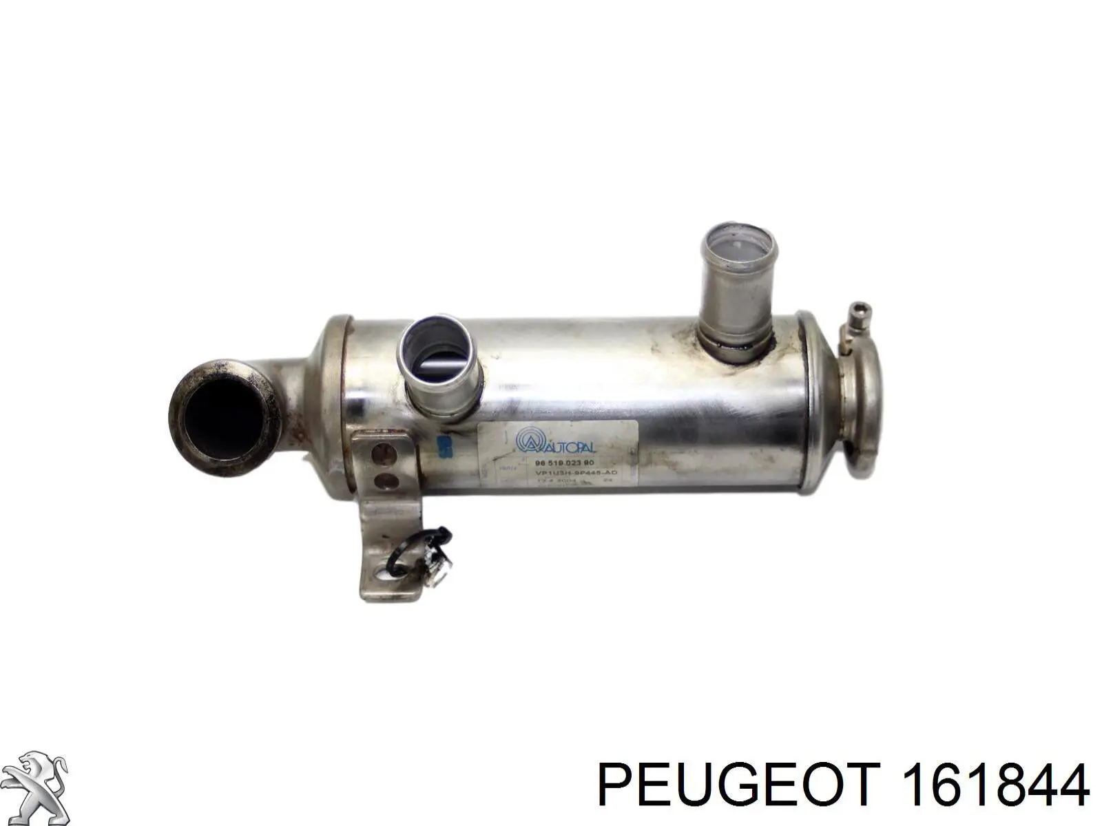 Enfriador EGR de recirculación de gases de escape 161844 Peugeot/Citroen