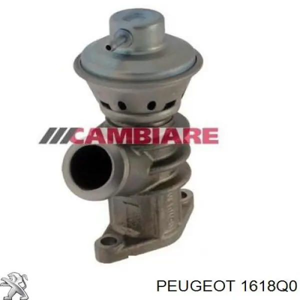 1618Q0 Peugeot/Citroen клапан егр