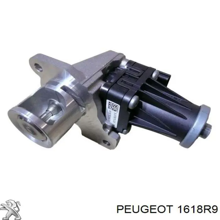 Manguera Tuberia De Radiador (gases de escape) 1618R9 Peugeot/Citroen