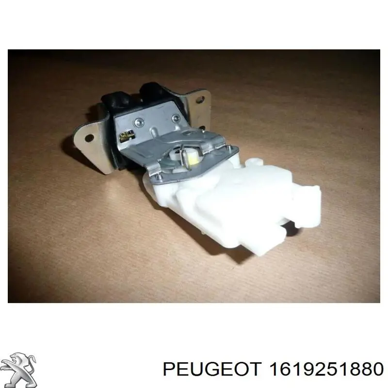1619251880 Peugeot/Citroen 