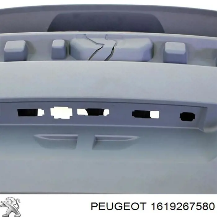 Ляда 1619267580 Peugeot/Citroen