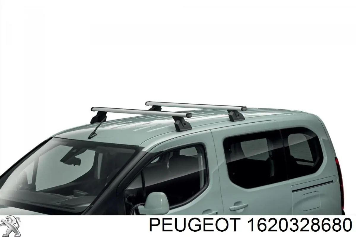 39176103 Peugeot/Citroen 