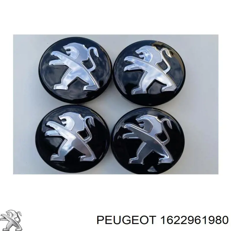 1622961980 Peugeot/Citroen 