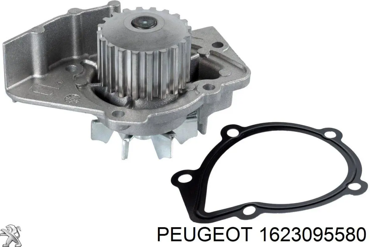 1623095580 Peugeot/Citroen помпа