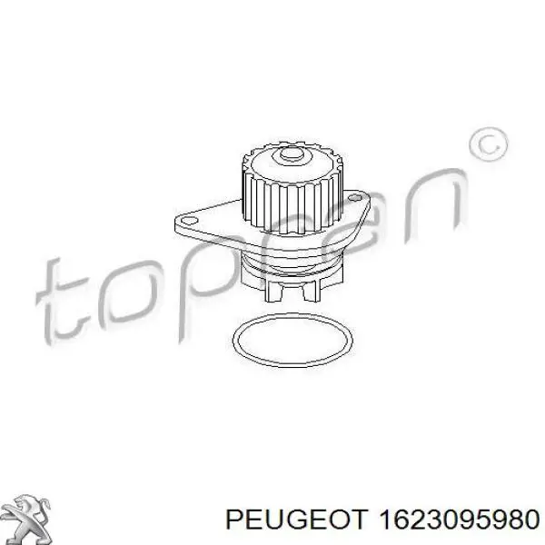 Помпа 1623095980 Peugeot/Citroen