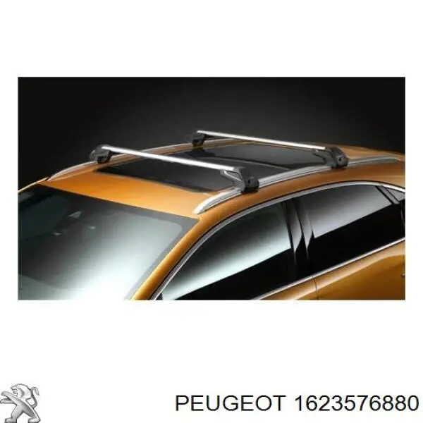  1623576880 Peugeot/Citroen