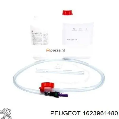 Купить 1623961480 Peugeot/Citroen Жидкость для чистки сажекоптевых фильтров