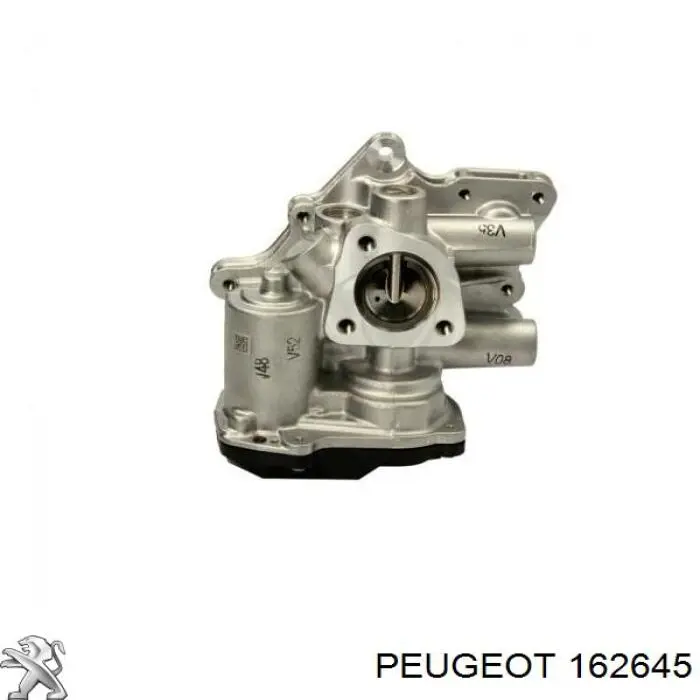 162645 Peugeot/Citroen válvula egr de recirculação dos gases