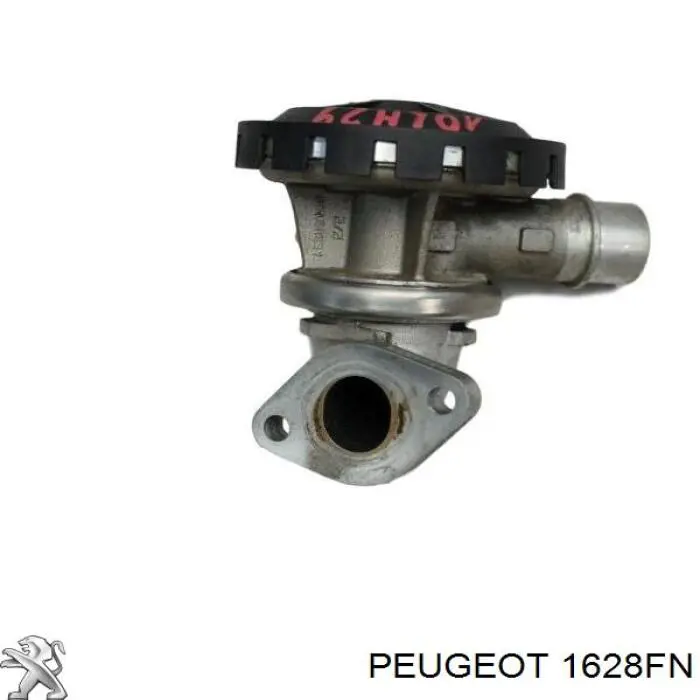 Válvula, AGR 1628FN Peugeot/Citroen