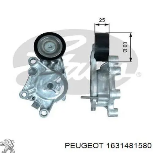 Натяжная планка поликлинового ремня Peugeot/Citroen 1631481580