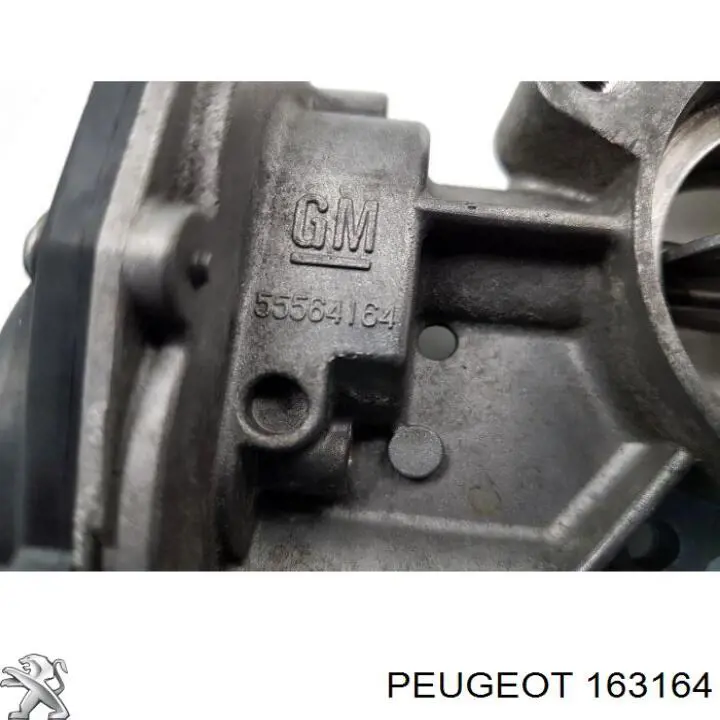 163164 Peugeot/Citroen 