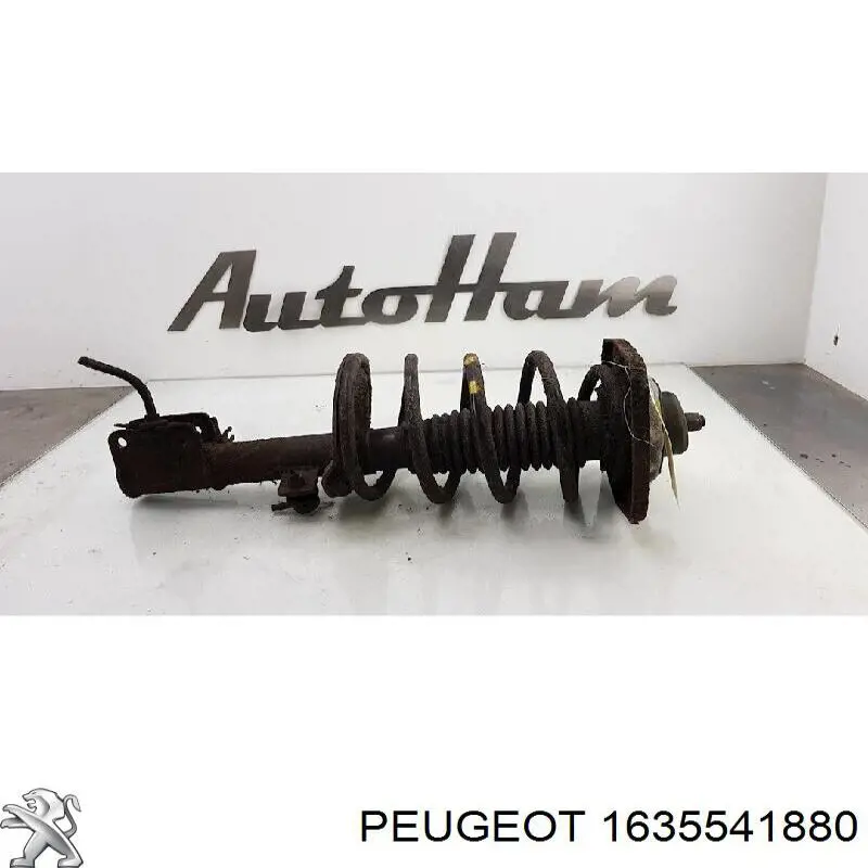 Амортизатор передний правый 1635541880 Peugeot/Citroen