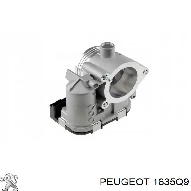 1635Q9 Peugeot/Citroen Válvula de borboleta montada