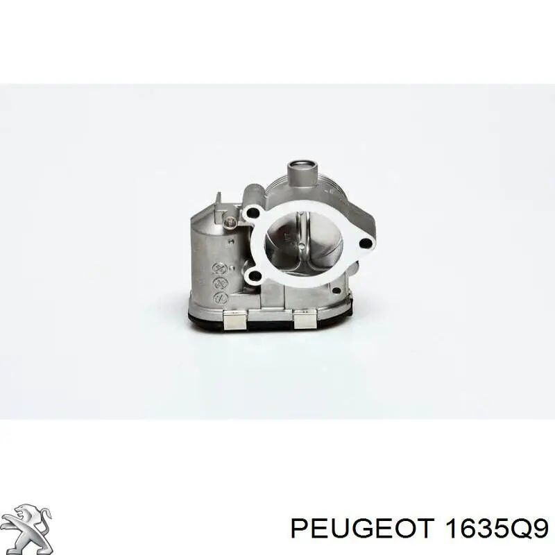 1635Q9 Peugeot/Citroen válvula de borboleta montada