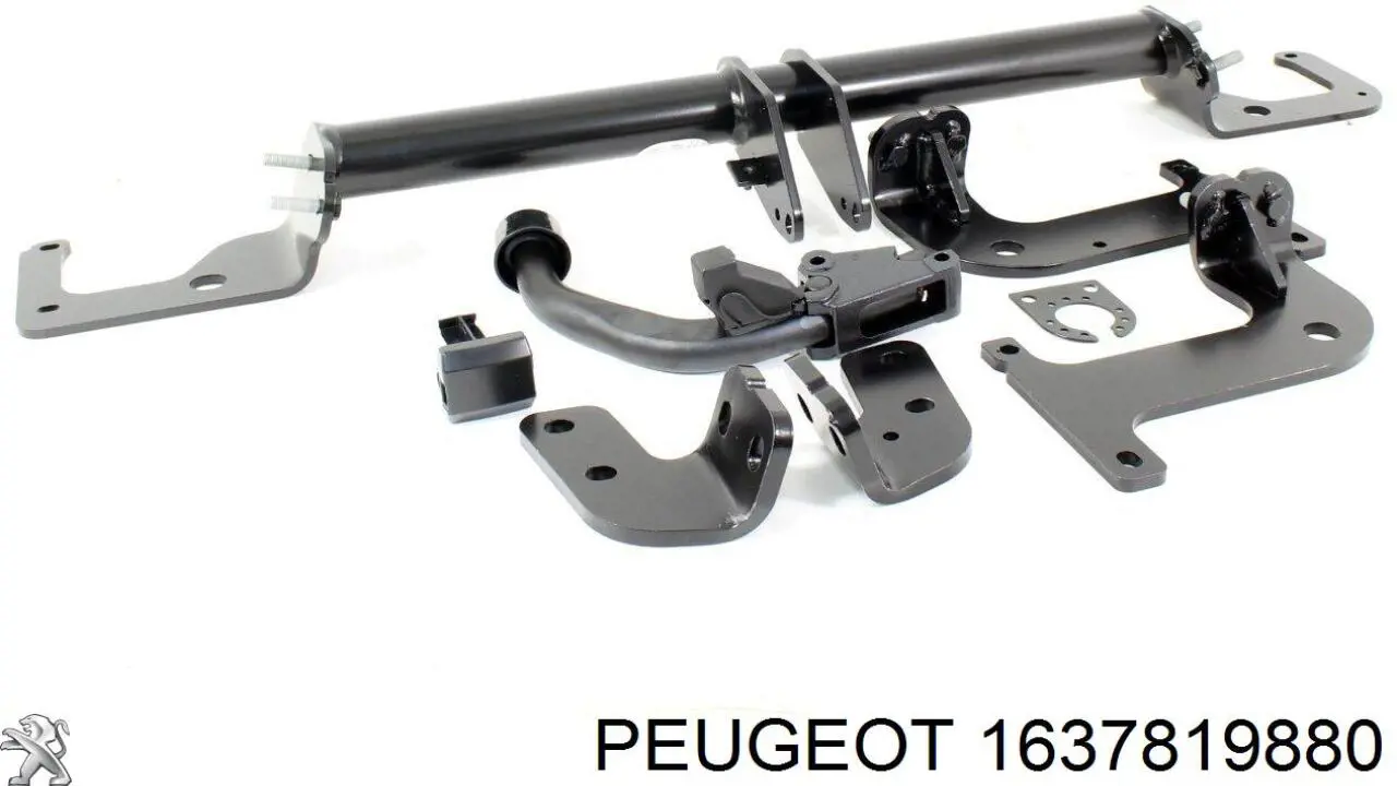  1685539980 Peugeot/Citroen