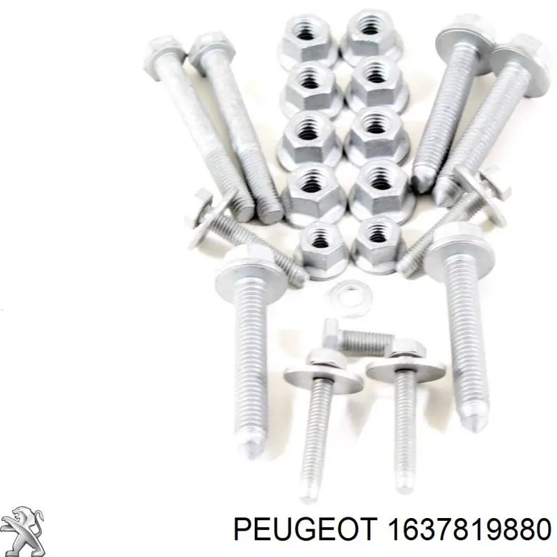 1685539980 Peugeot/Citroen 