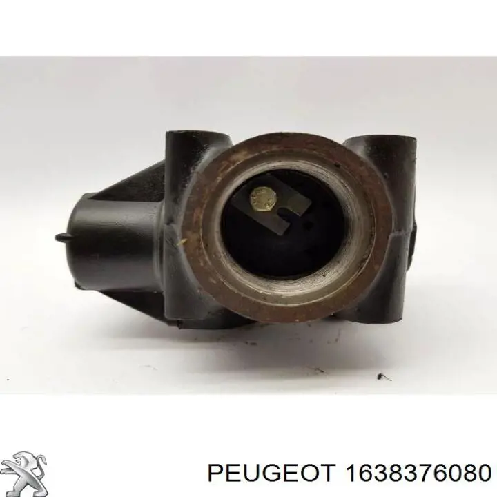 Купить 1638376080 Peugeot/Citroen Гидроаккумулятор системы амортизации задний