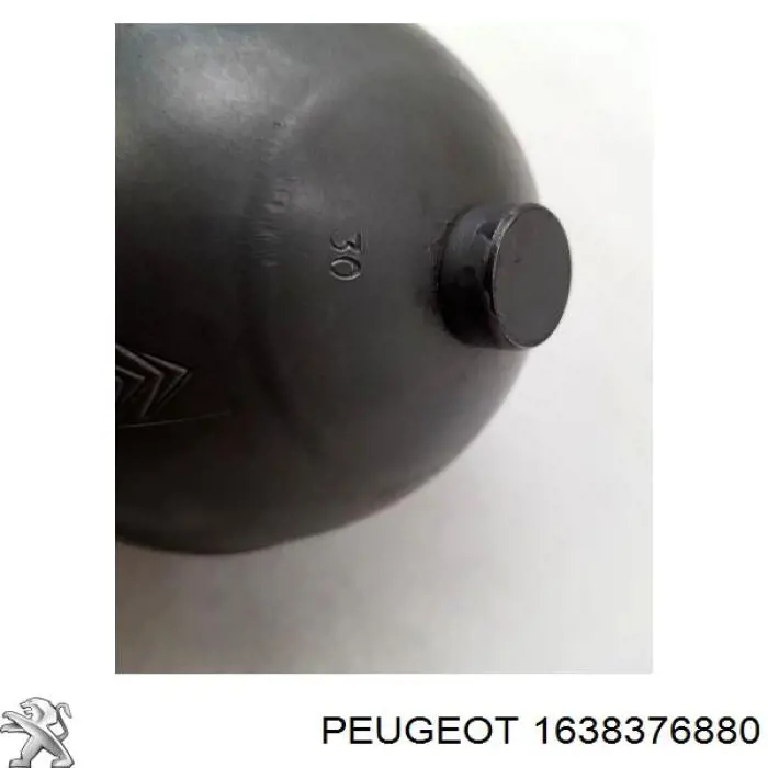 1638376880 Peugeot/Citroen Гидроаккумулятор системы амортизации задний
