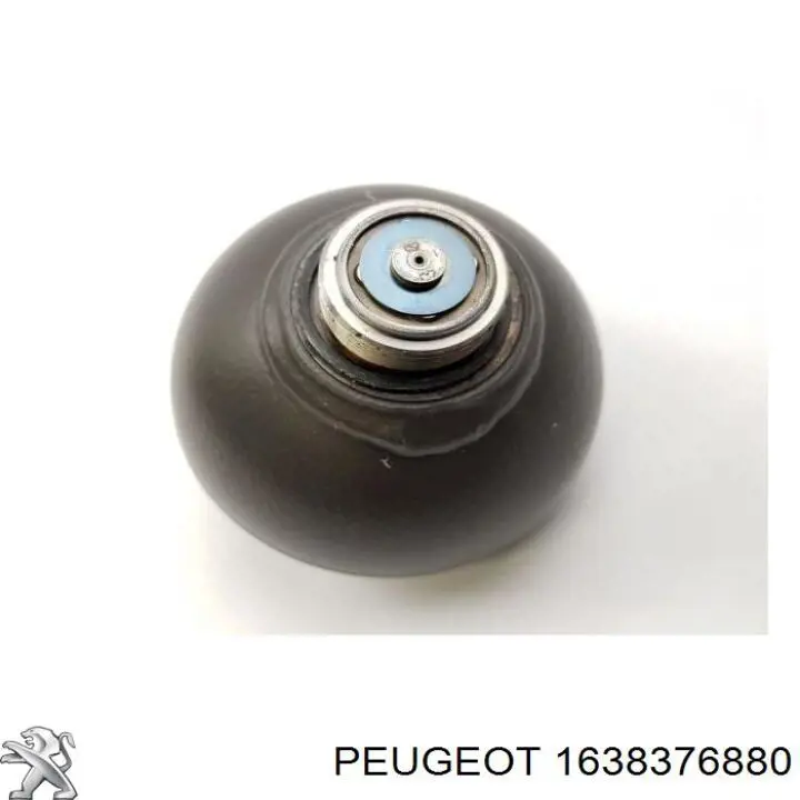 Гидроаккумулятор системы амортизации задний 1638376880 Peugeot/Citroen