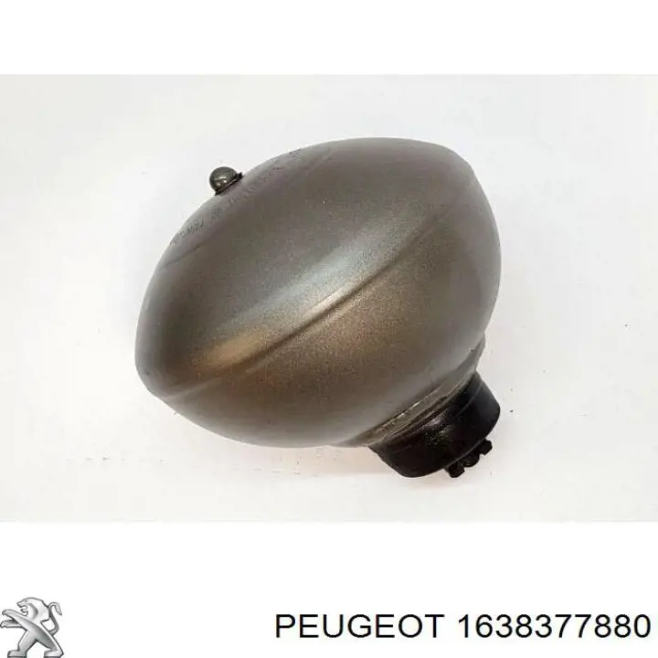 Купить 1638377880 Peugeot/Citroen 