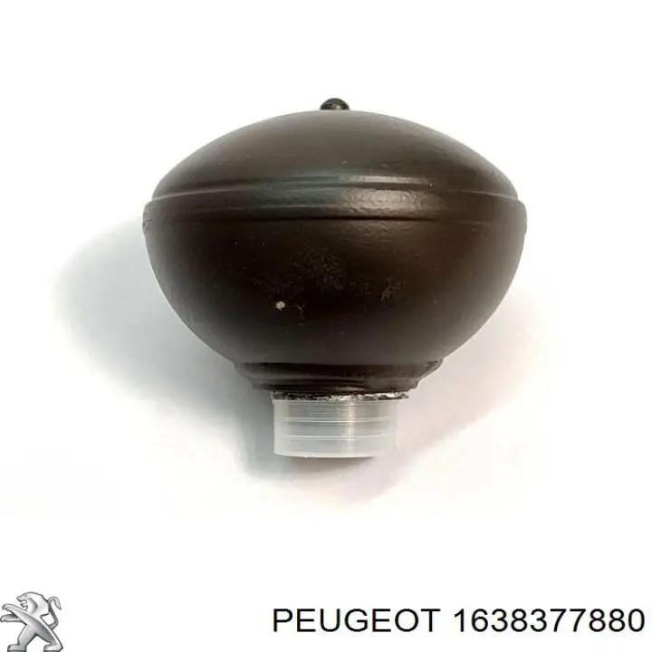 1638377880 Peugeot/Citroen 