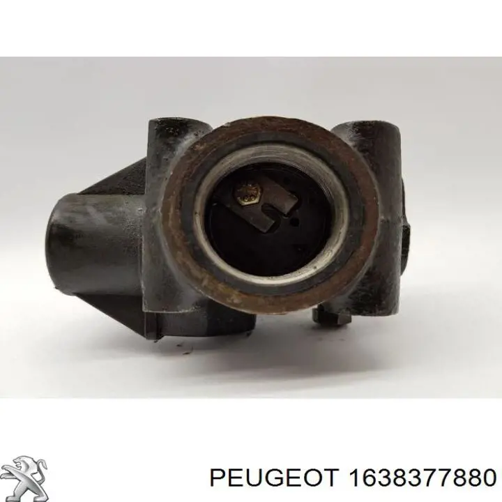 Купить 1638377880 Peugeot/Citroen 