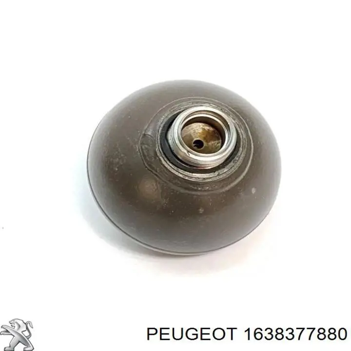 1638377880 Peugeot/Citroen 