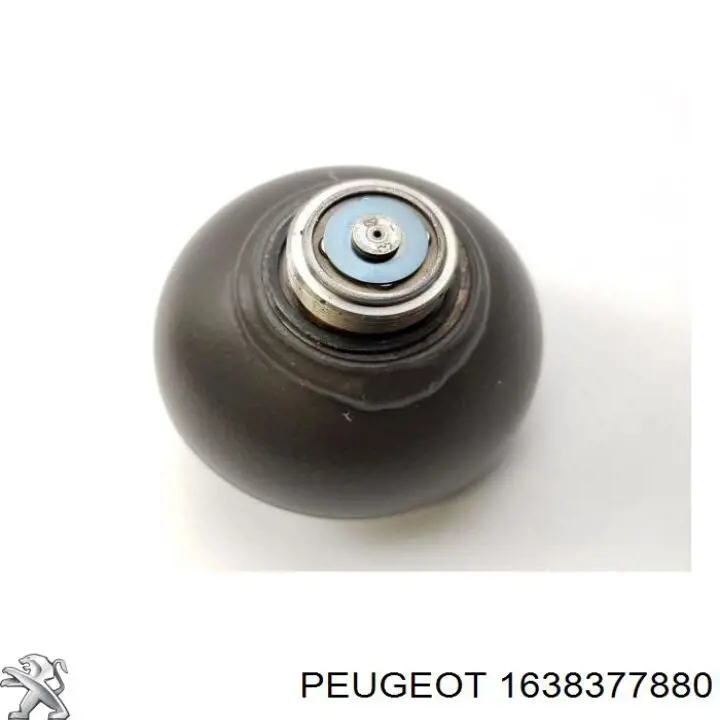  Peugeot/Citroen 1638377880 цена, от 166.40 USD
