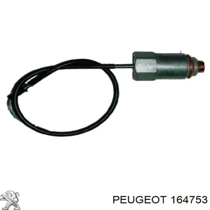 164753 Peugeot/Citroen блок холодного пуска