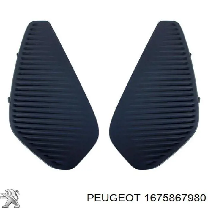  1675867980 Peugeot/Citroen