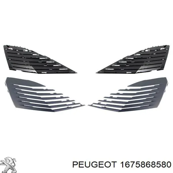  1675868580 Peugeot/Citroen