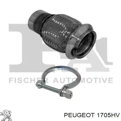 Трубы приемные (штаны) Peugeot/Citroen 1705HV цена, от 55.01 USD