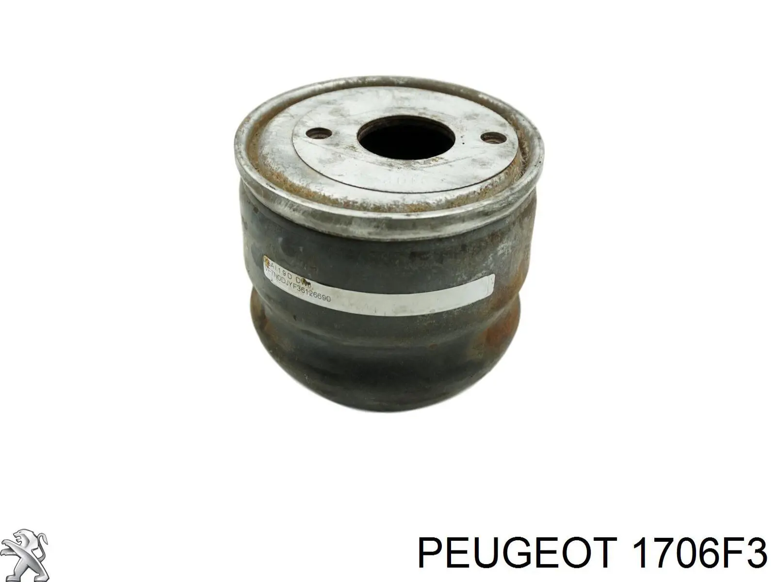 Приёмная труба 1706F3 Peugeot/Citroen