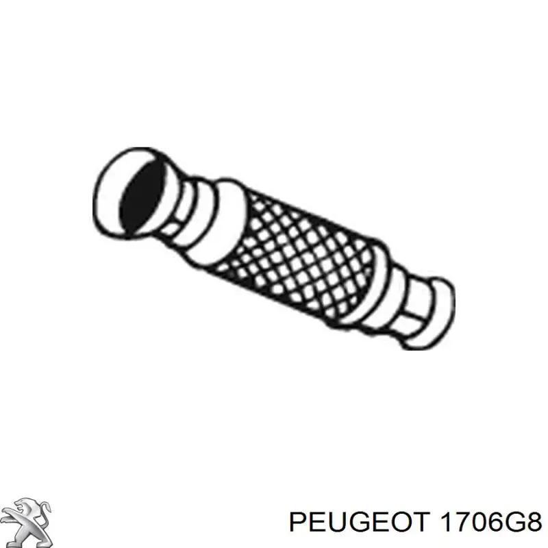 Гофра глушителя 1706G8 Peugeot/Citroen